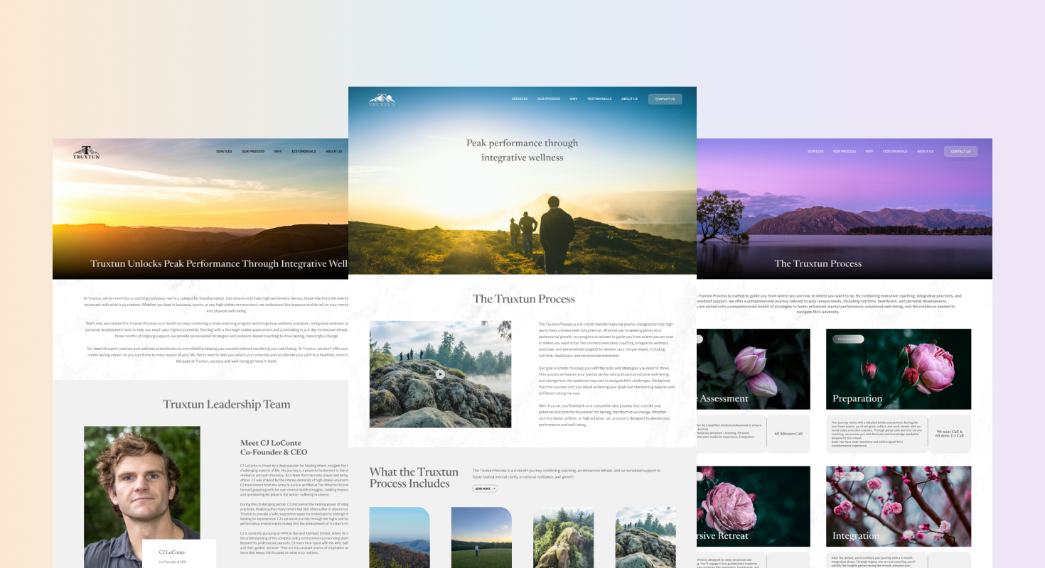 Truxtun interface detail